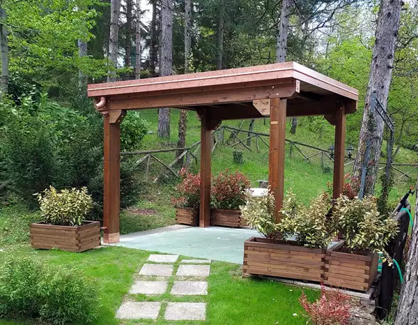 Pasini--11- Pasini--11-