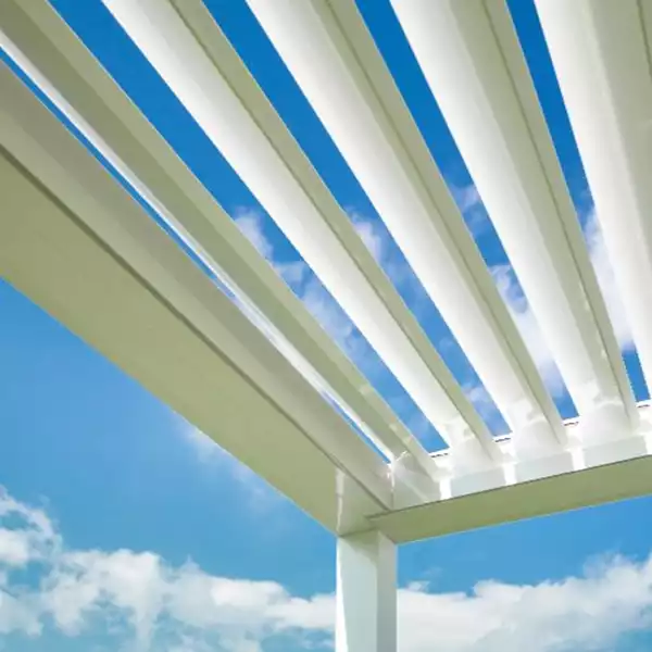 SceglierePergolaDicembre2